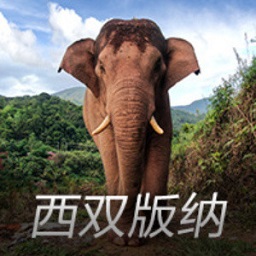 詹皇大概率出战魔术！湖人余下赛程难度联盟第3：目标避免附加赛